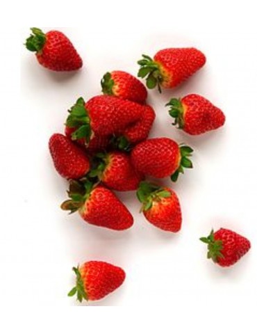 Fraise gariguette 250g