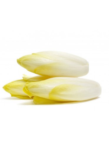 1kg Endive