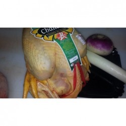 Poulet fermier jaune challans